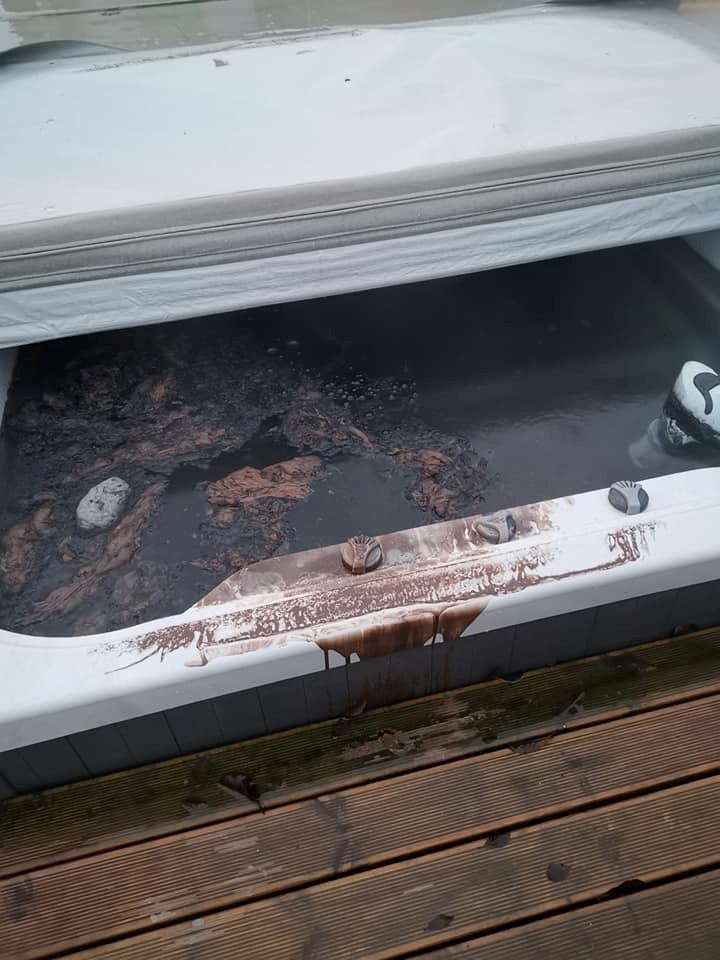 Evie Carr's hydrotherapy pool after it was filled with paint.
