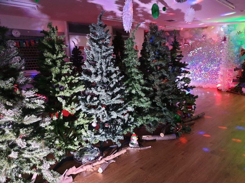 Christmas Trees lit up the grotto at Focus Point.