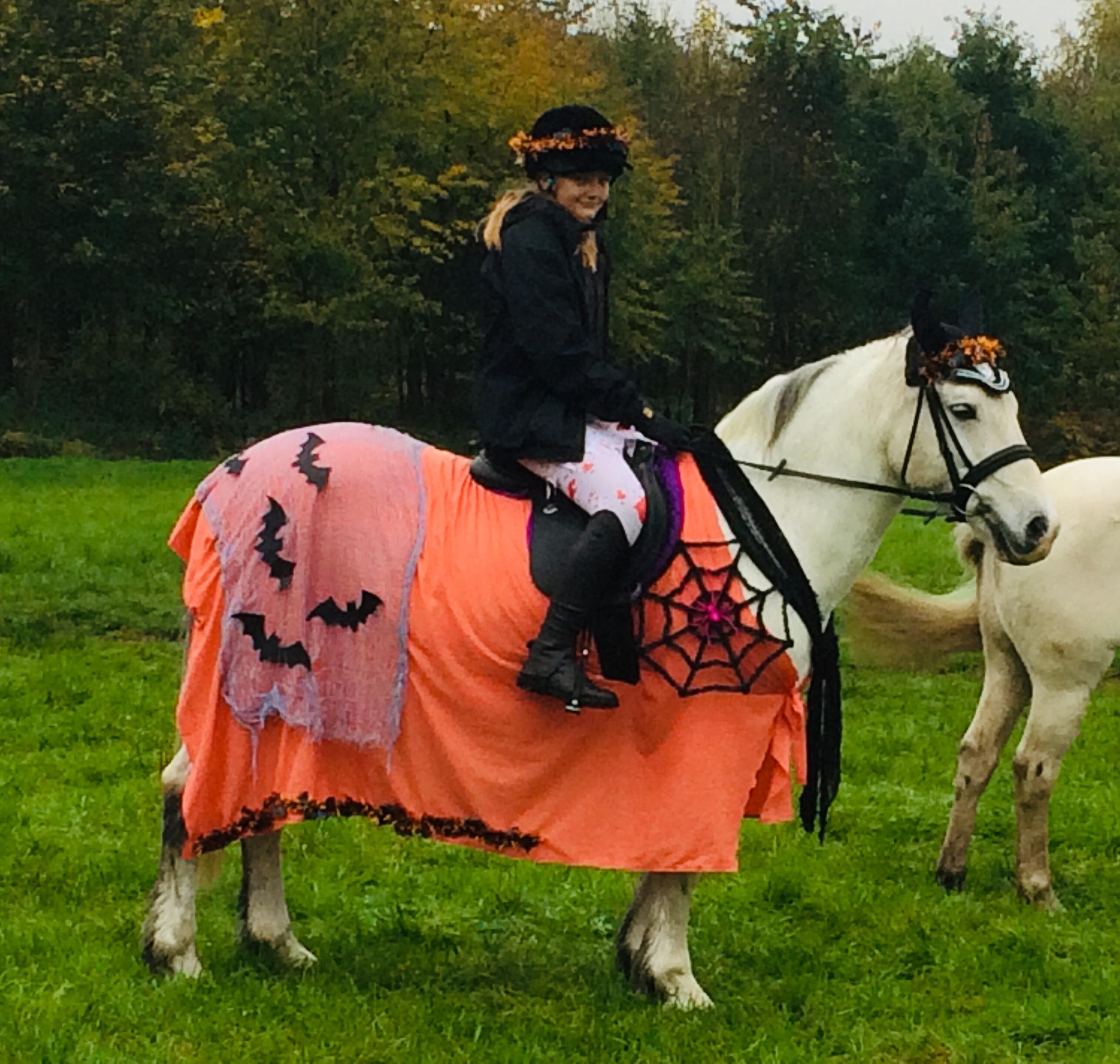 Alyssia on her fancy dress pony.