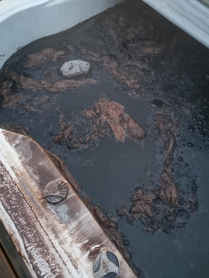 Evie Carr's hydrotherapy pool after it was filled with paint.