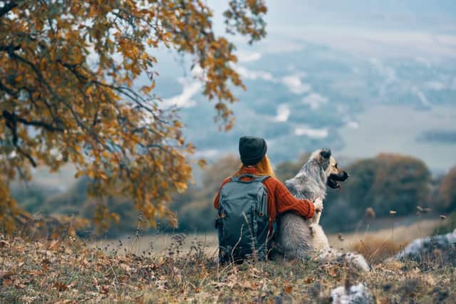 Teach a dog a relaxed command if it gets over-excited on walks (photo: Adobe)