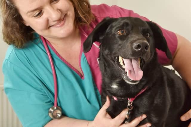 Milo, a cross breed aged five, ate slug pellets from a garden pot but was saved from the brink of death by PDSA Vets
