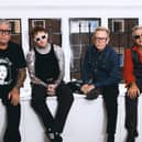 Could fans of Sex Pistols see the group recording new material with Frank Carter shortly?