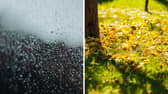 Date autumn starts as Hurricane Erin forecast to bring band of rain to UK.