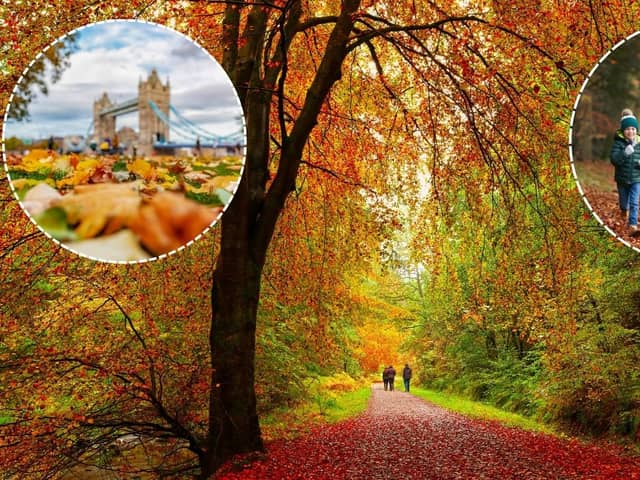 The weather over the past summer may trigger an especially vibrant display this autumn