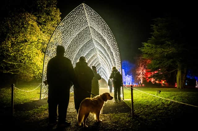 The Christmas Cathedral returns to Christmas at Belton — and yes, friendly four-legged visitors are welcome to walk the magical aisle too!