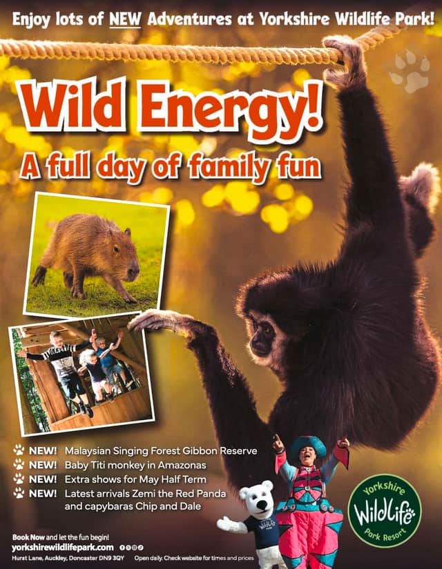 Wild energy -  a full day of family awaits at Yorkshire Wildlife Park