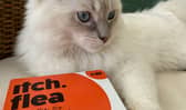 The treatments are aimed at dogs and cats