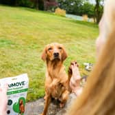 YuMove's special offers make it more affordable to support your furry friend