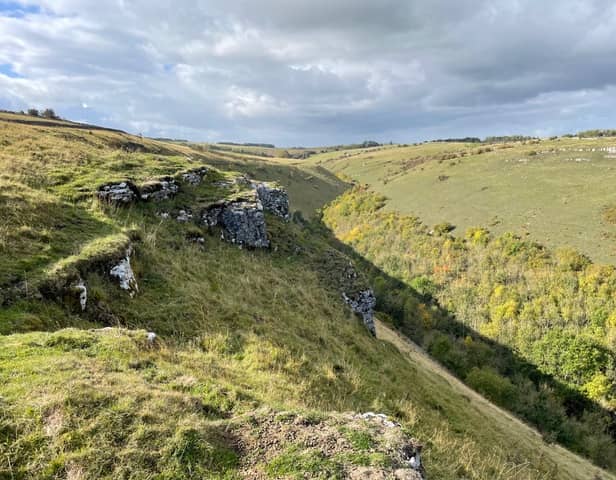 Coombs  Dale