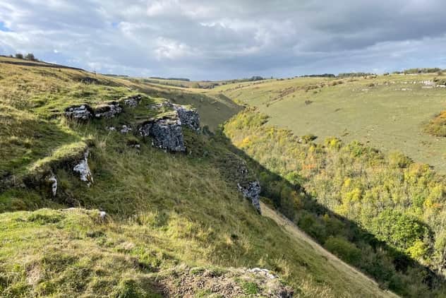 Coombs  Dale