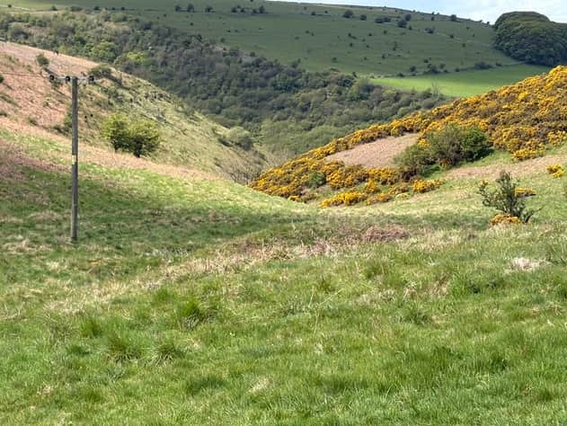 Coombs Dale
