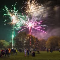 Mansfield Woodhouse vet reveals how a firework bang affects your dog