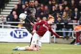 Stags' Krystian Pearce in action at Northampton in March. Photo: GettyImages