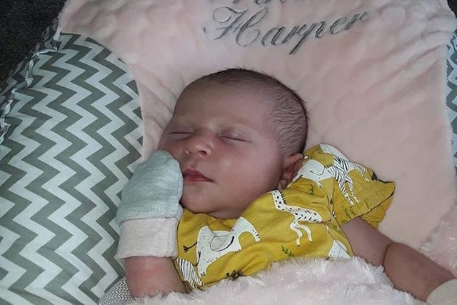 Harper was born May 25 weighing 8lb 9oz to her parents Charlene Jones & Ben Skelly who are from Marton and South Shore, she definitely looks snug!