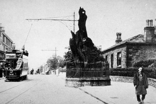 An ancient oak tree used to stand proudly to the north of St Michael's Church until 1941, where it stayed for 1,000 years. Known locally as the 'Shire Oak', it served as a meeting point for settling legal disputes & raising armies