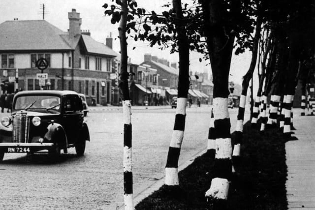 During World War Two white stripes were painted on trees to make them visible to traffic and pedestrians in the blackout. Today this view of Harrowside looking towards the Farmers Arms and Highfield Road is still recognisable