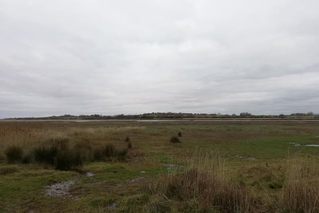 James Smith said he loved living in Thornton for the rural places to walk his dogs, including Wyre Estuary Country Park.