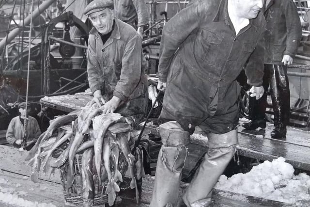 Lumpers at work before the days of more modern fishing methods. This photo was taken in April 1957