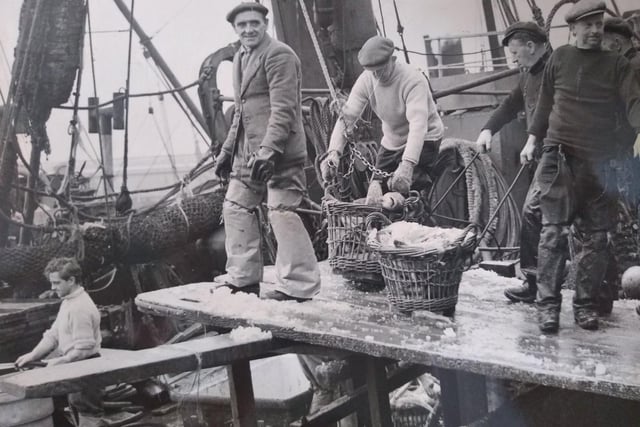 The fishing industry in its heyday. Photo from the mid 1950s