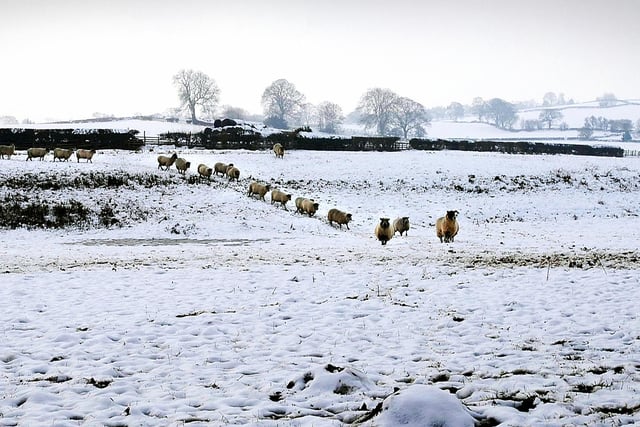 Snow scenes from Hampsthwaite in 2009.