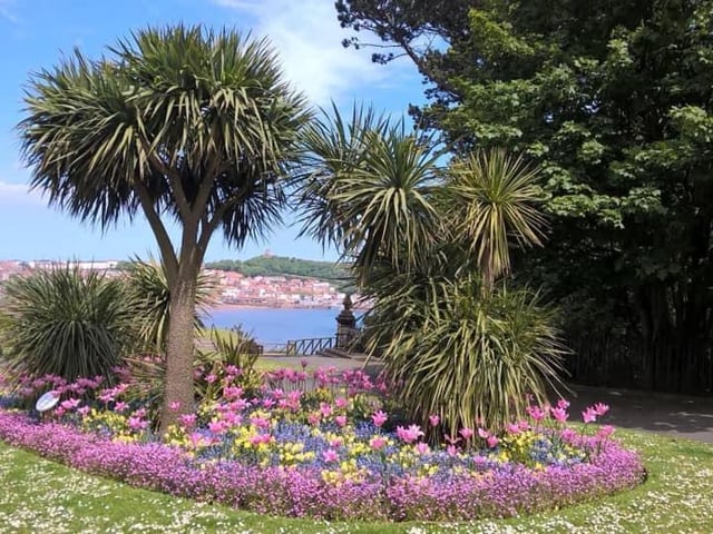 Elaine Helliwell says she loves to see the castle through the trees.