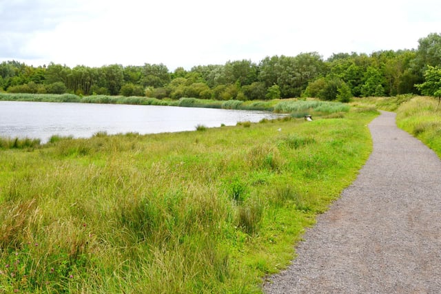 Amberswood local nature reserve, Hindley