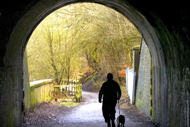 The tunnel to Borsdane Woods, Hindley