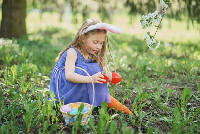 Looking for Easter eggs in the garden (photo: adobe)