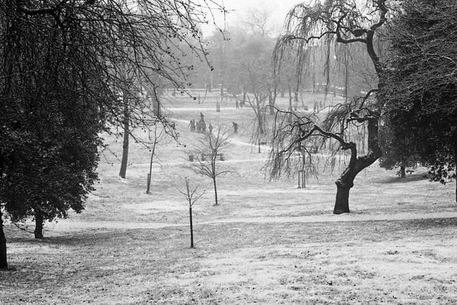 This picture was taken on one of Preston's parks during the freeze of February 1977
