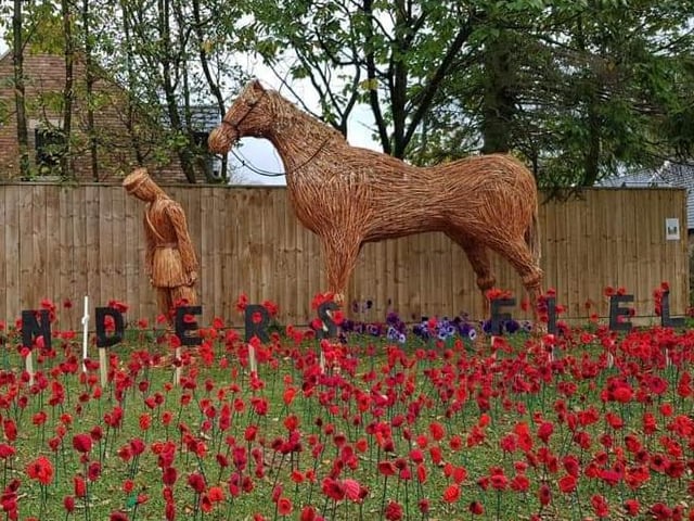 Poppies of Nunthorpe, by Lisa Williams.