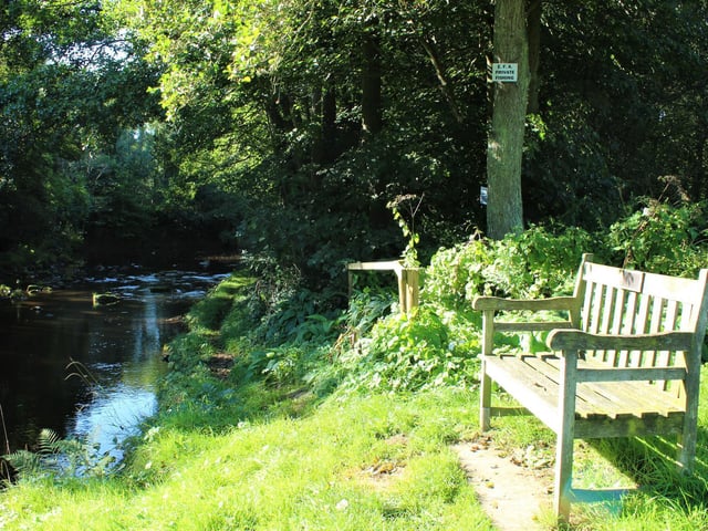 Egton bench, by Sally Michulitis.
