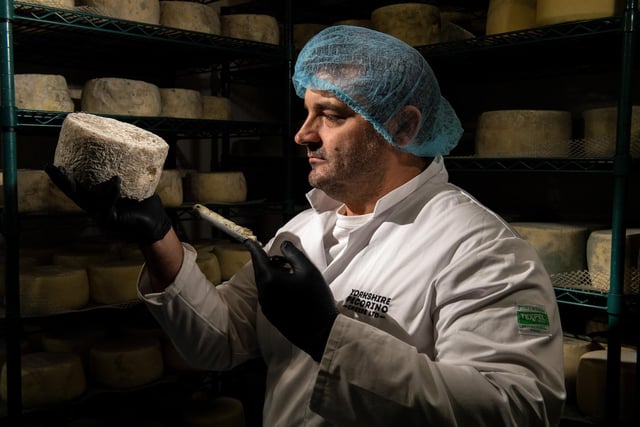 Mario Olianas checking on a Leeds Blue cheese at Yorkshire Pecorino in Otley. Picture: Bruce Rollinson.