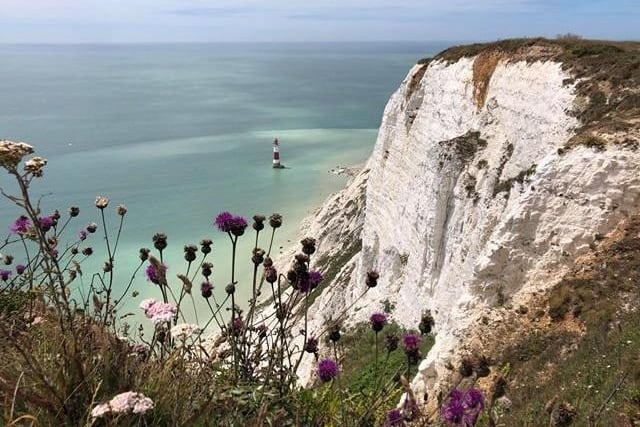 Helen Donovan sent in this photo of flowers at Beachy Head SUS-200807-122940001