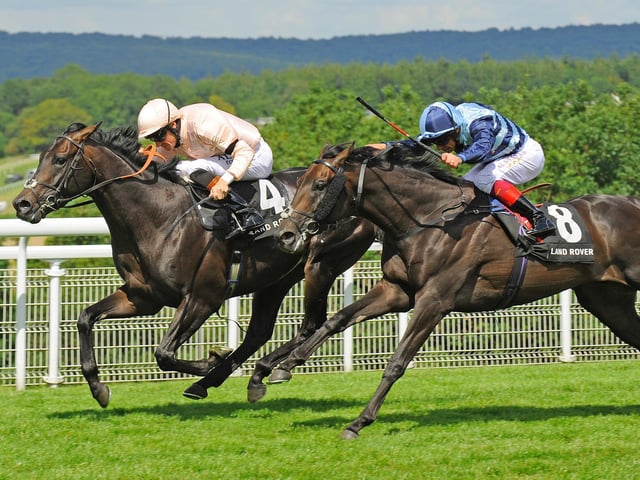 Past Glorious Goodwoods remembered - action, famous faces and fashion from 2015 / Pictures by Malcolm Wells