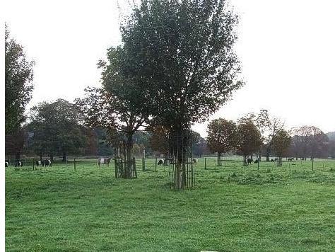 Robert Snooks became the last highwayman to be hung in England in 1802. He was buried at the scene of his crime where robbed a post boy on the turnpike on Boxmoor Common
