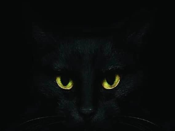 October is the month of all things spooky