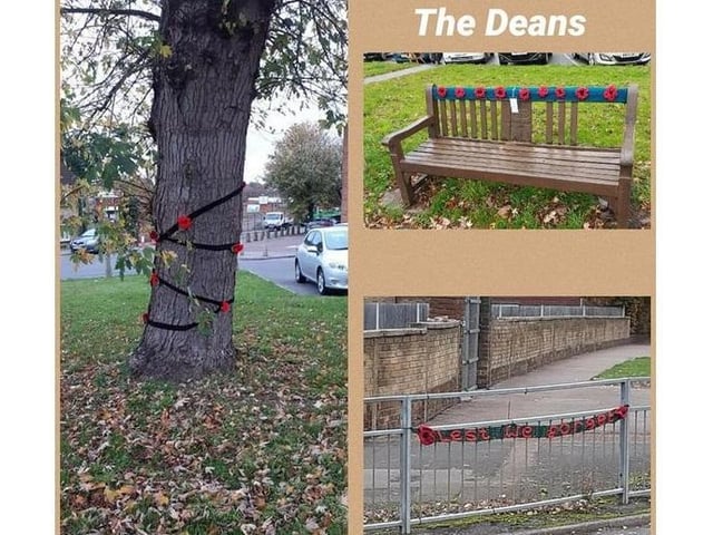 Knitted poppies at The Deans