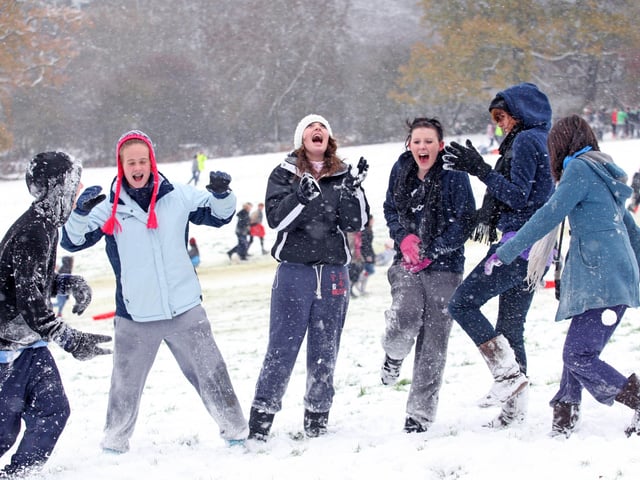 HOR 011210 Snow. Denne Hill. photo by derek martin