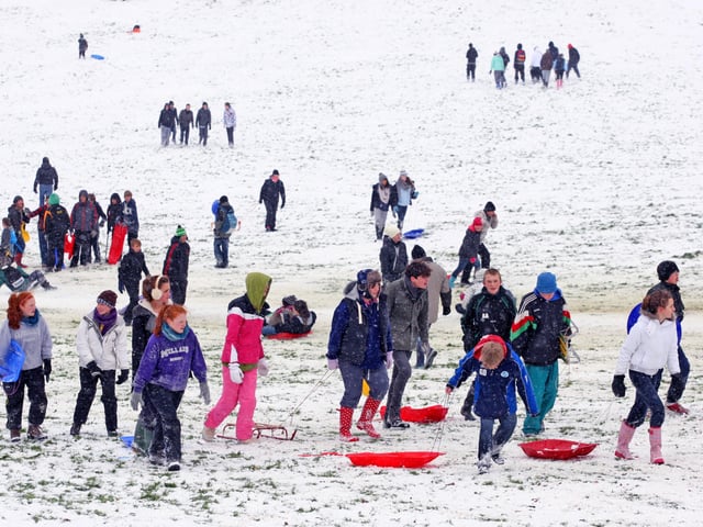 HOR 011210 Snow. Denne Hill. photo by derek martin