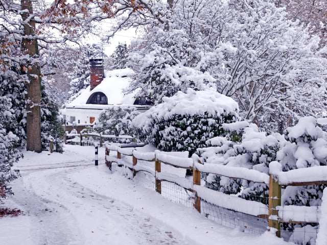 HOR 031210 Snow. West Chiltington. photo by derek martin