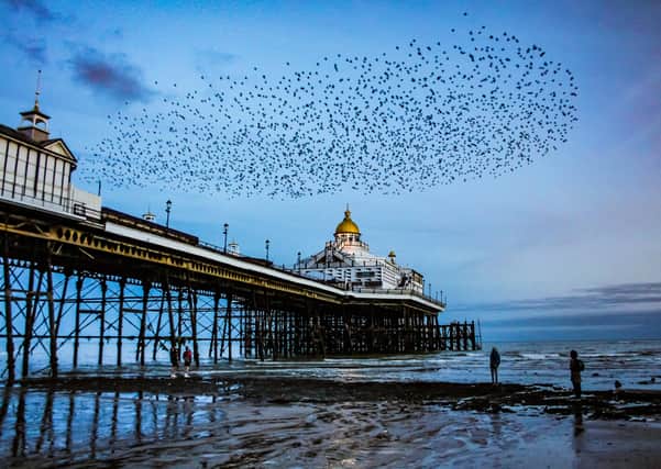 Starling murmuration over Eastbourne Pier. This shot was taken by John Stillwell, using an iPhone. SUS-201119-084547001