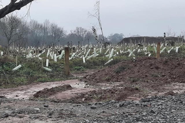 How the current HS2 site at Crackley Woods looks like.