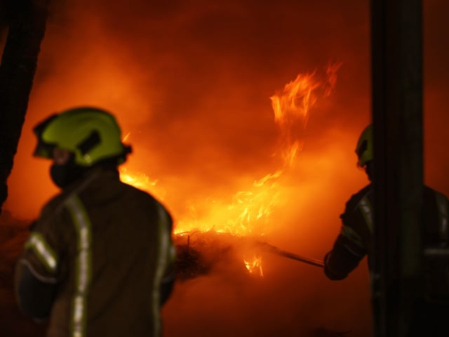 Turkeys were among the animals to be saved from a farm fire in Slinfold, West Sussex