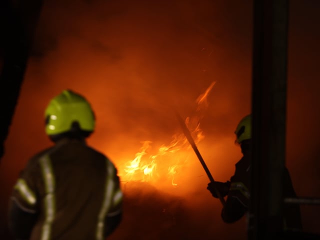 Turkeys were among the animals to be saved from a farm fire in Slinfold, West Sussex