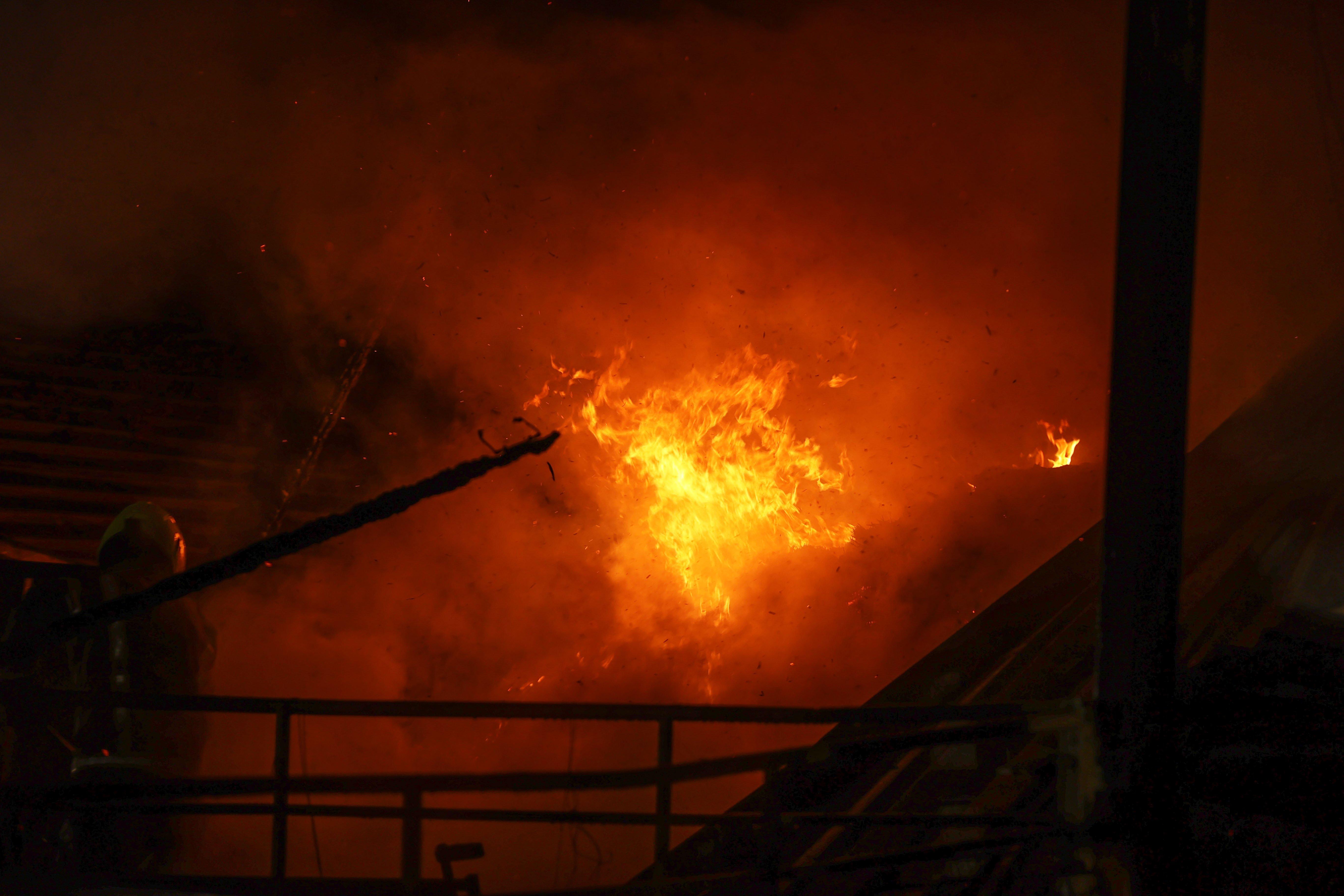 Turkeys were among the animals to be saved from a farm fire in Slinfold, West Sussex