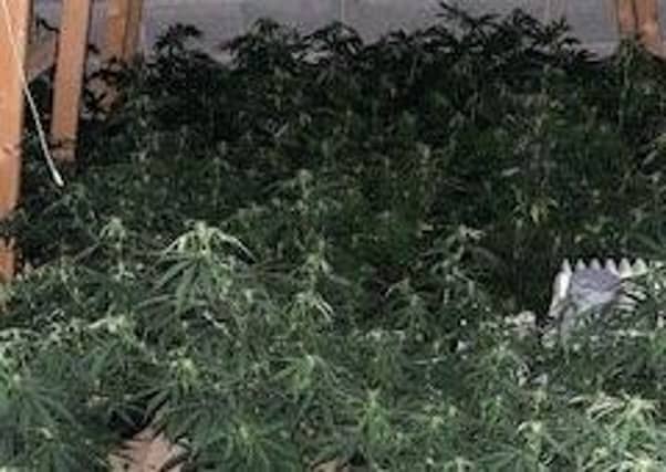 Police images from the raids