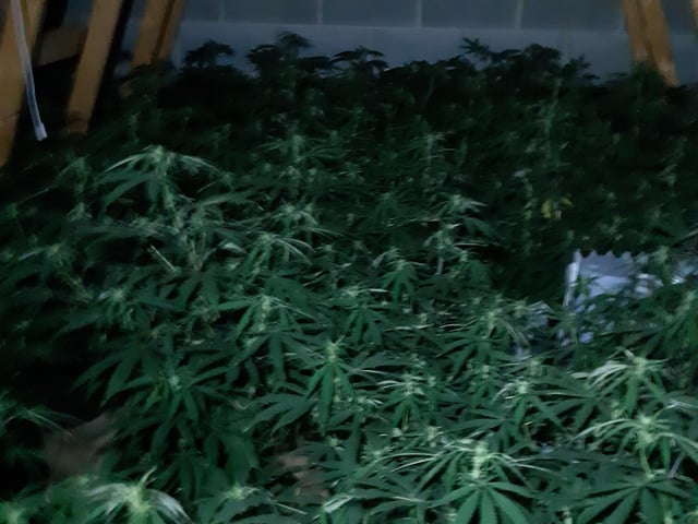 Police images from the raids