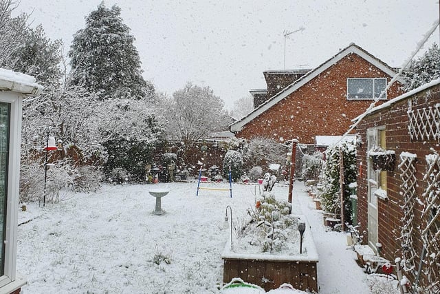 Reader Brenda Burgess sent us this picture of her garden in winter
