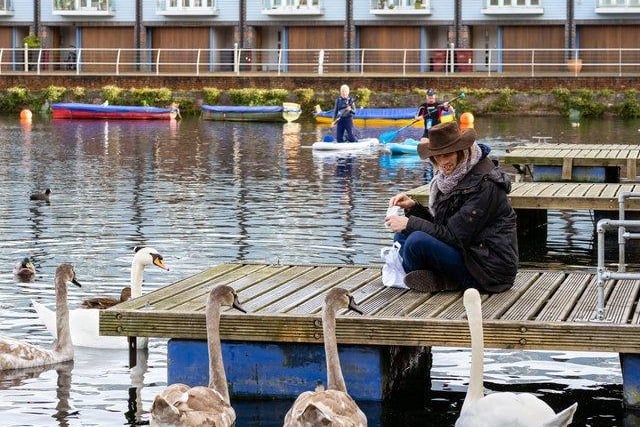 On Wednesday, October 27, from 10am to 3pm, the education volunteers will be in the Heritage Centre at the Canal Basin, offering family friendly activities. Children are invited to take part in crafts and activities, including decorating a bat or owl face mask, spooky pebble painting or designing a beautiful moth.